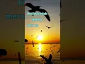 Download Lagu kata kata motivasi untuk semangat kerja #shortsfeed #shortsvideoviral