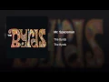 Mr. Spaceman (Album Version)