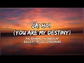 Download Lagu A.R. Rahman, The Pussycat Dolls - Jai Ho (You Are My Destiny) [Lyrics] ft. Nicole Scherzinger