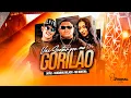 Lagu VAI SENTAR PRO GORILÃO - GORDINHO BOLADO - MC MORENA - JAPÃO 