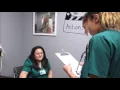 How to greet a patient