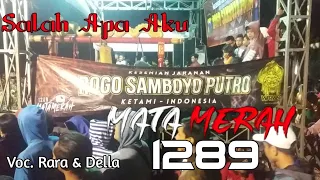 Download Salah Apa Aku ~ Rogo Samboyo Putro - Live Lap. Rejomulyo Ngronggo MP3