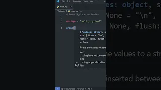 Python Basics VARIABLES in Under a Minute