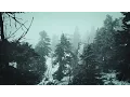 Download Lagu Snowstorm Blizzard Wind Sounds For Sleeping, Relaxing ~ Calm Snow Arctic Howling Winter Ambience