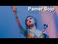 Download Lagu Pamer Bojo -(Didi Kempot)  Sandy Ria Ervinna
