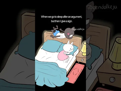 when we go to sleep after an argument, but then I give a sign (animal hospital anomaly)