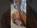 Download Lagu Dried Katambak #buladkatambak #bulad #driedfish #shortsfeed #ytshorts #katambak #buwad
