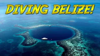 Belize Dive Expedition! | BLUE WORLD DOCUMENTARY