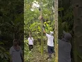 Download Lagu Allah maha besar #nature #natural #naturelovers #naturesounds #natureza #naturebeauty #natureshorts