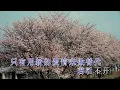 張敬軒 — 《百年樹木》 Wild West KTV