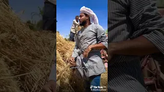 المنشد أحمد حسن الاقصري عشمان فمين ياحزين 