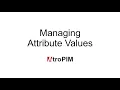 Managing Attribute Values