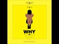 Lagu PV - WHY [Official Audio]