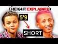 How Tall Should YOU Be For Your Age 5-19 Years Old