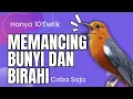 Lagu LANGSUNG NYAUT 10000 % ‼️ ANIS MERAH MACET BUNYI JIKA DENGAR SUARA INI PASTI NYAUT LANJUT GACOR | 54