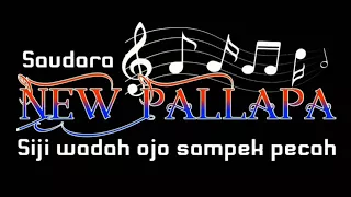 Download New pallapa - Duet romantis broden ft devi aldiva == pertemuan MP3