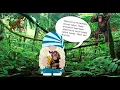 Ode to the Animals - monkey