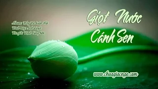Giọt nước cánh sen - Ánh Tuyết