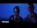 Download Lagu El Alfa El Jefe Ft. La Manta - Millonario Al Tiro (Video Official)