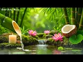 Download Lagu Soothing Spa Piano Music + Nature Sounds 🌿 Calming Music for Sleep, Meditation Music, Massage \u0026 Yoga