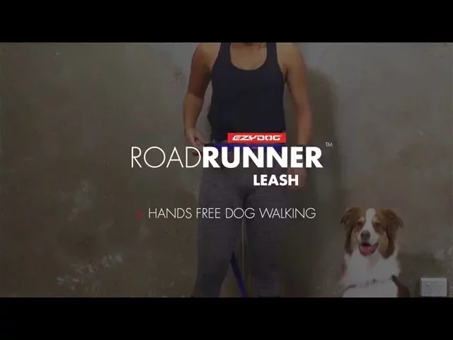 EzyDog Road Runner LITE Leash