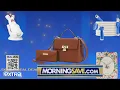 Save on Microcurrent Facial Devices Vegan Leather Bags with Extra s Real Deal