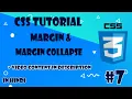 CSS Tutorial Part Margin And Margin Collapse In Hindi TechKnowledge
