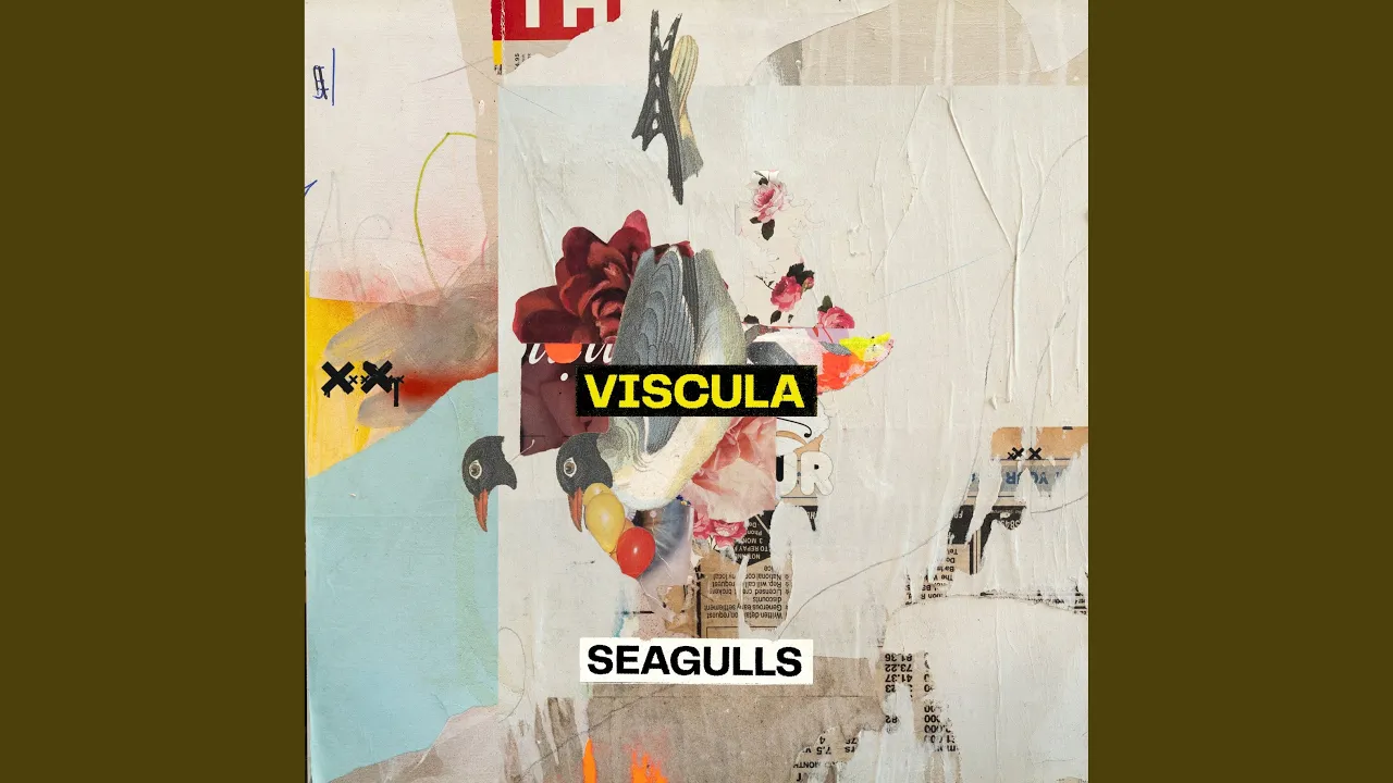Seagulls Seagulls