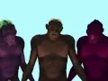 CHEWING IN ROBUST AUSTRALOPITHECINES