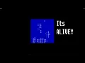 Coding Cellular Automata in TypeScript and NodeJS