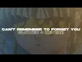 Download Lagu Shakira \u0026 Rihanna - Can't Remember To Forget You (Slowed + Reverb)