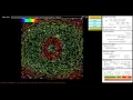 Synthetic Flow - TracTrac