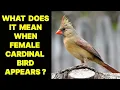 WHAT DOES IT MEAN WHEN A FEMALE CARDINAL BIRD APPEARS