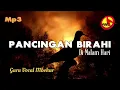 Download Lagu Suara Perkutut Ngerot, Pancingan Birahi Di Malam Hari