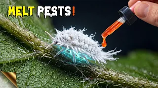 Just 10 Drops of This Will Save Your Garden