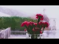 Can't Help Falling in Love (With Rain Sounds) | 1 HOUR LONG | Elvis Presley Peaceful Piano Version