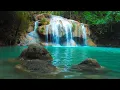 Download Lagu Relaxing Music For Stress Relief, Anxiety and Depressive States • Heal Mind, Body and Soul