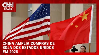 Compras de soja da China nos EUA cresceram 164% em julho | CNN AGRO NEWS