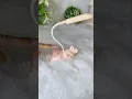 Desk Lamp Bunny LED Lamp Meesho Desk Lamp