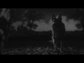 Blues Saraceno ~ Dogs Of War
