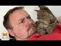 Download Lagu Kucing-kucing yang Lucu dengan Manusia Mereka – Terlalu Lucu!