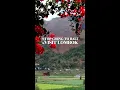 Download Lagu 5 reasons to visit LOMBOK instead of BALI 🇮🇩