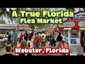 A True Florida Flea Market - Webster Florida Flea Market
