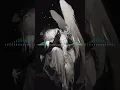 LONELY - Nightcore Remix