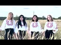 "Браття Українці" Гімн Оборони України. Вокальний квартет "VIRMEIS"