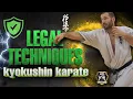 What Every Kyokushin Fighter Must Know