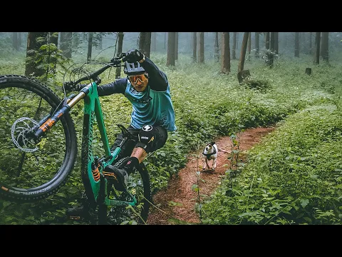 Download MP3 DOGGYSTYLE | OMG mountainbiker chased by deadly fast animal | MUST WATCH! | no clickbait | Traildog