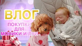 ВЛОГ Новинки для собаки | Лето | Первый груминг Моники | Встреча с Олесей | Одежда для Луи!