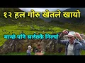 Download Lagu ओखलढुङ्गामा भेटियो यस्तो अचम्मको ठाउँ | १२ हल गोरु र जिउँदै मान्छे समेत सर्लक्कै निल्ने रहस्यमय खेत