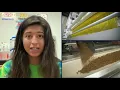 Barilla 2020 Intern Summer Recap